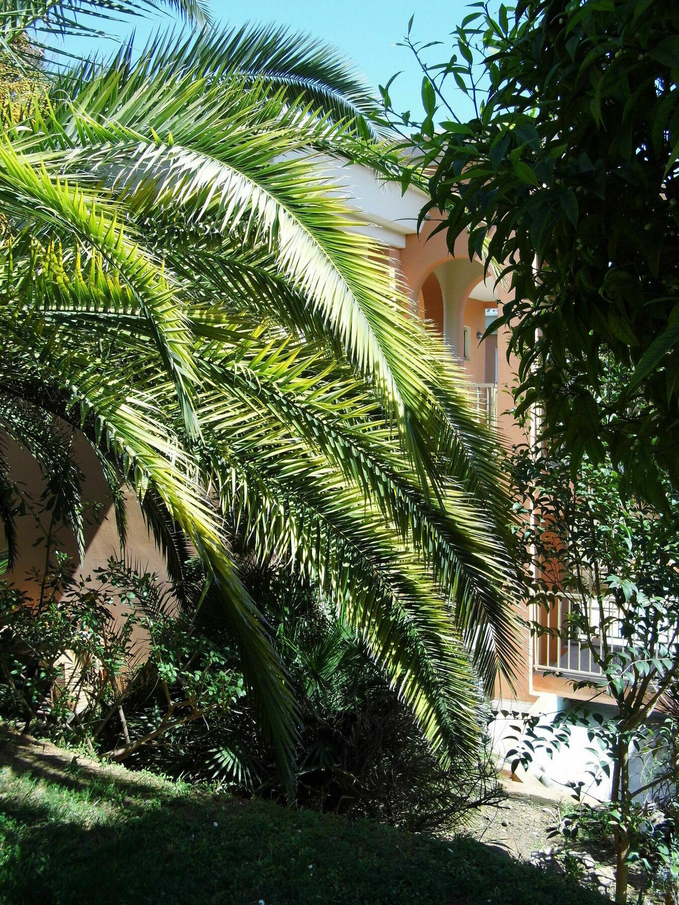Anis Hotel Nizza Exterior foto