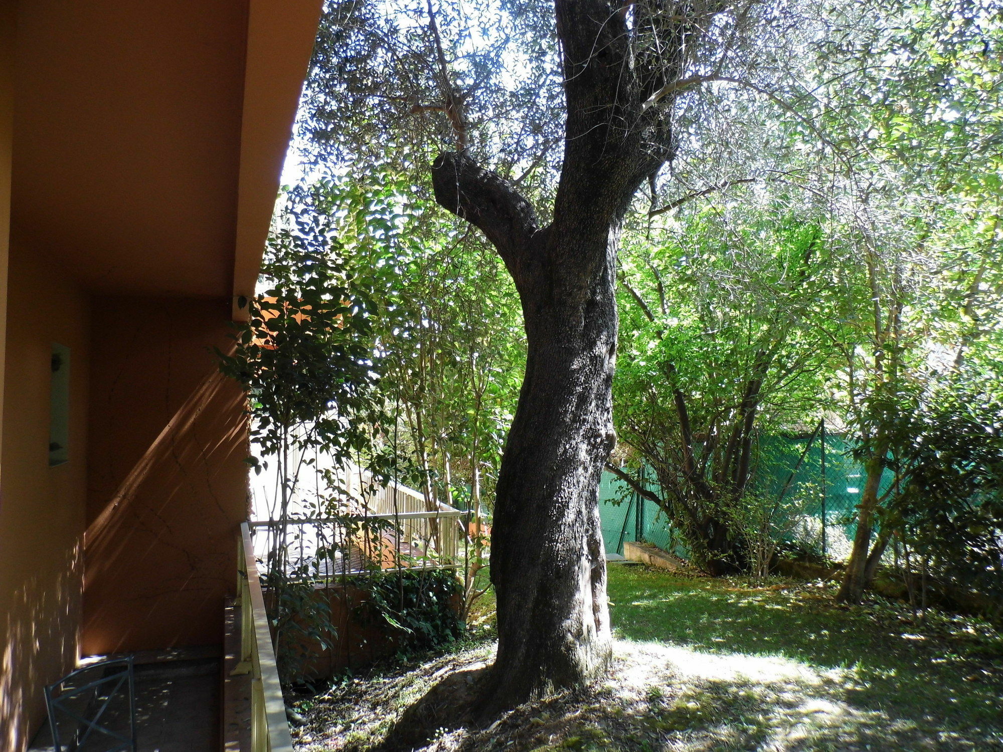 Anis Hotel Nizza Exterior foto